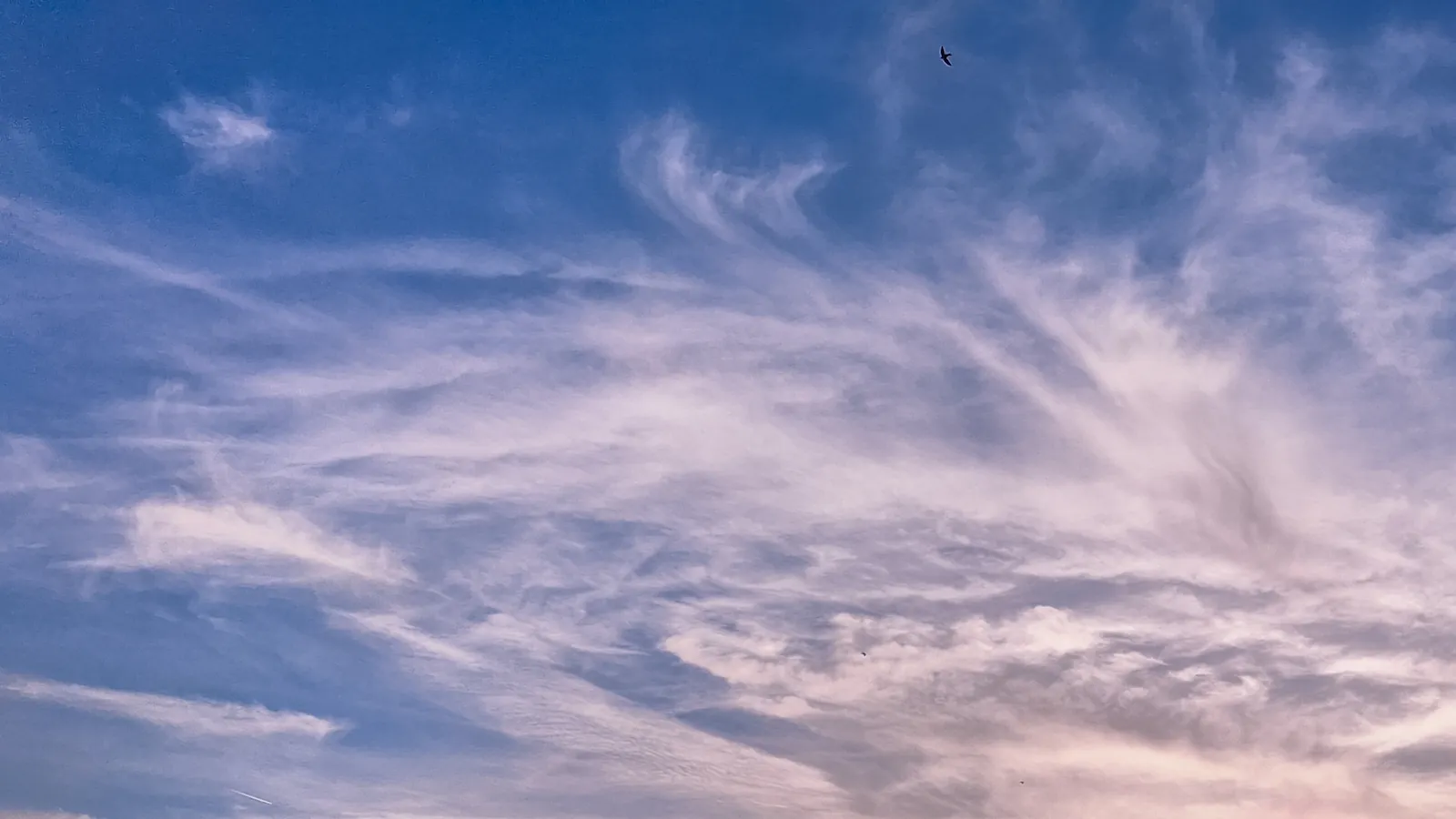 Soft sunset sky with warm shades of orange, pink, and purple blending across wispy clouds