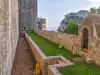 Grassy pathway along the Dubrovnik City Walls leading toward Bokar Fortress with Fort Lovrijenac visible in the distance