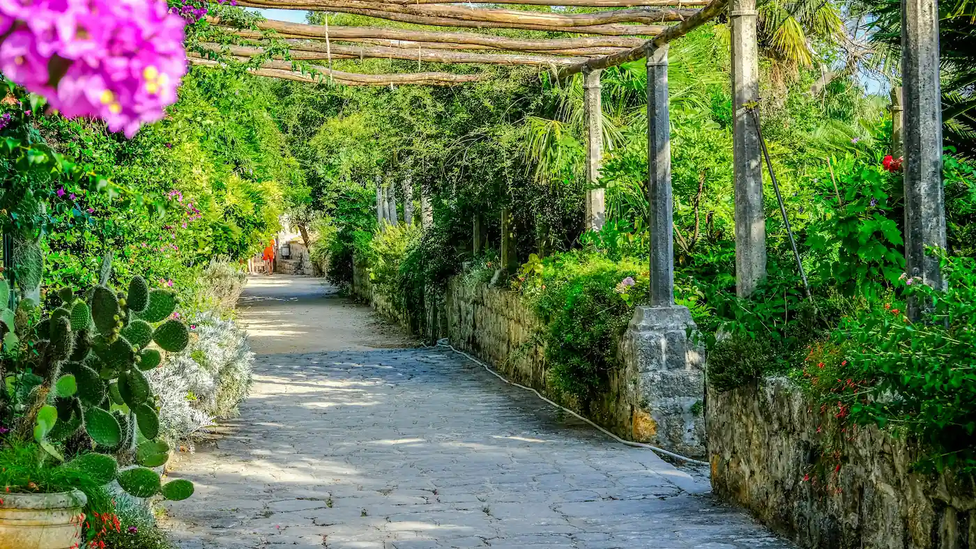 Trsteno Arboretum: Red Keep Gardens | Game of Thrones Filming Location