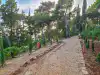 View of branching pathways and trees closer to the entrance side of Gradac Park