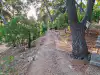 View along the dirt pathway near the entrance of Gradac Park
