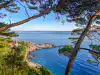 View from the far wall of Gradac Park with a clear view of the sea and Danče Beach