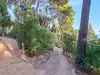 View of a pathway in the middle of Gradac Park surrounded by trees and greenery