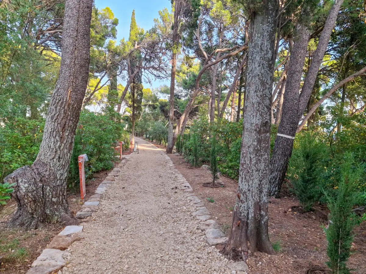 View of a pathway continuing through the trees in Gradac Park