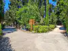 Walking path crossroads surrounded by lush greenery and a small wooden sign on Lokrum Island