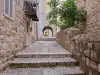 Approach view looking toward the historic stone archway passage at the Rupe Museum area