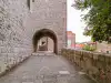 View from the approach path showing both the stone archway and the entrance stairs of the Rupe Museum
