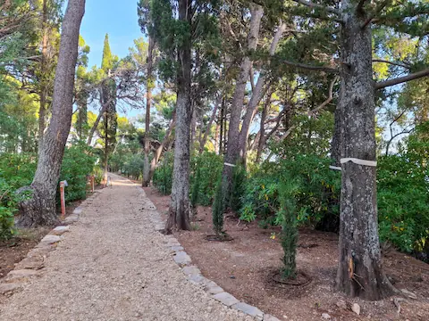 Gradac Park: Purple Wedding