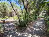 Wide view of Trsteno Arboretum pathway and lush side garden approaching Poseidon fountain