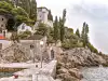 View from the stone pier looking toward Villa Aurora in Trsteno Arboretum