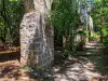 Supporting stone arches along the historic aqueduct behind the Poseidon fountain at Trsteno Arboretum