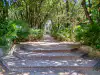 Trsteno Arboretum garden pathway leading toward distant Poseidon fountain statue
