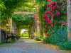 View looking through the vine-covered stone pergola pathway in Trsteno Arboretum