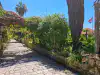 Lush green canopy and flowers growing over wooden pergolas along Trsteno Arboretum garden path