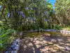 Lush side garden in Trsteno Arboretum featuring central round stone table