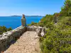 Trsteno rocky coastline featuring old tree stump, single square stone pillar with vase, and Šipan island