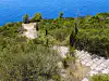 Downward view from Trsteno rocky terrace showing rough stone stairs leading to sandy platform