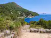 Low-angle view from Trsteno sandy coastal platform looking sideways toward Trsteno Bay